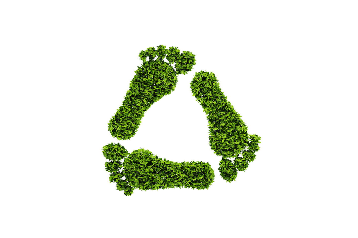 how-can-we-reduce-our-ecological-footprint-u-green-clean